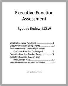 Cover of the book "Executive Function Assessment" by Judy Endow
